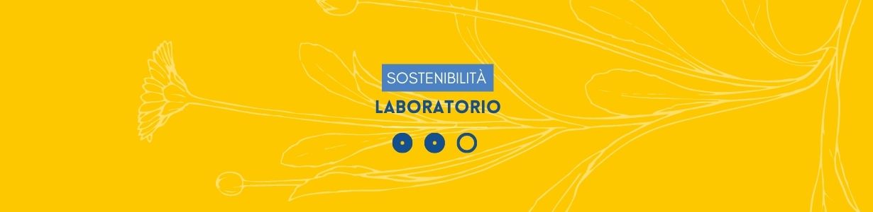 Laboratorio- Sostenibilità